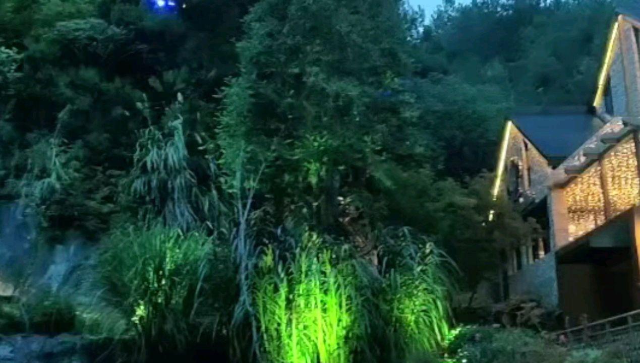 沪江开心词场